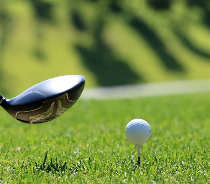 Soñar con Golf 58 Tipos y sus significados