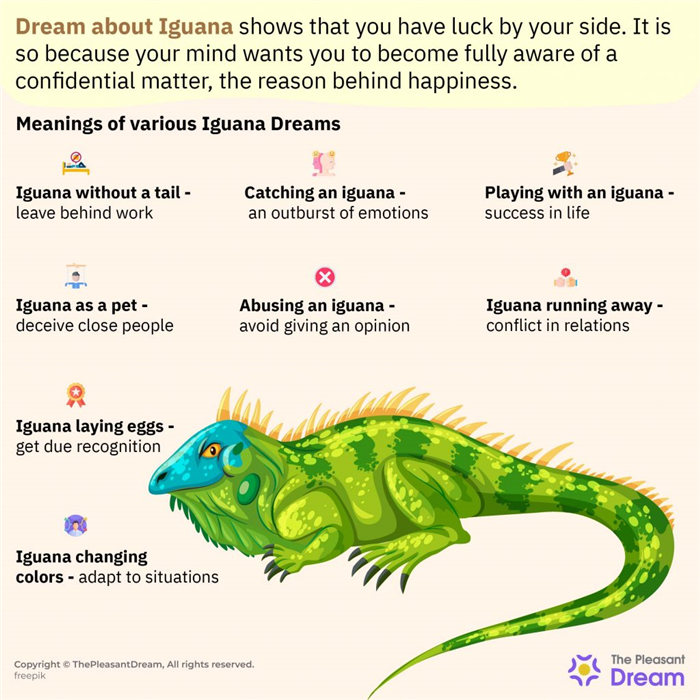 Soñar con Iguana - 55 escenarios e interpretaciones interesantes