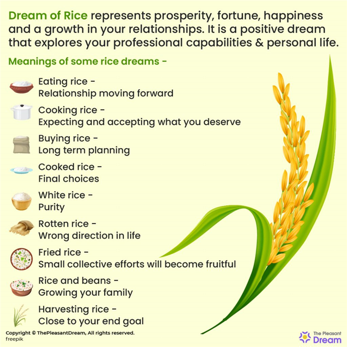Soñar con arroz - 53 escenarios, tipos e interpretaciones