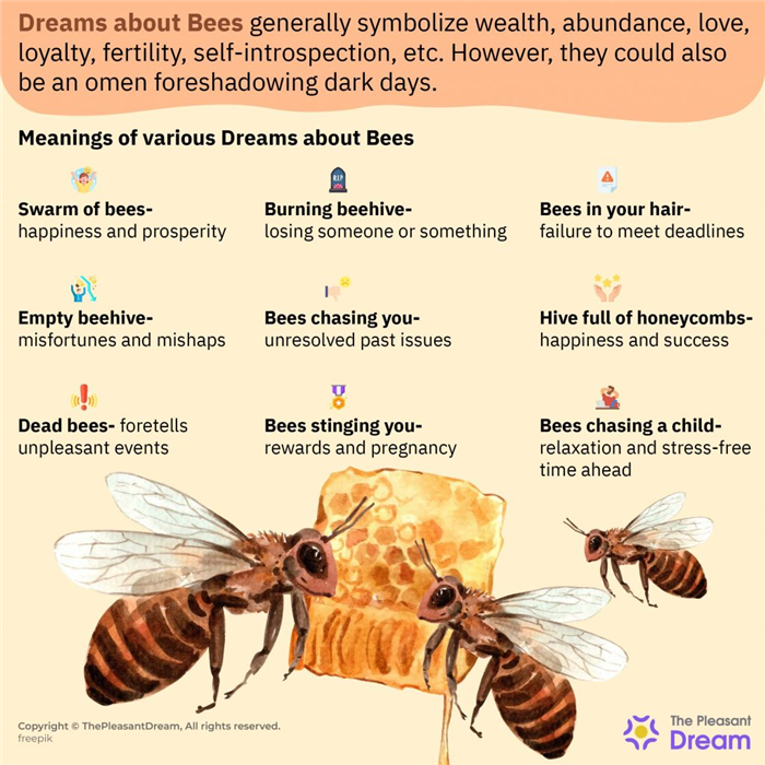 Soñar con abejas 80+ narraciones de sueños y sus significados