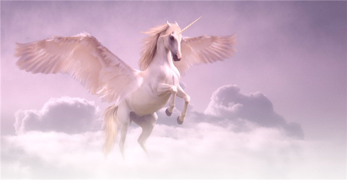 Sueños con unicornios - 55 escenarios interesantes e interpretaciones