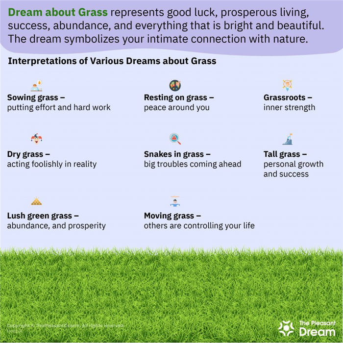 Soñar con hierba - 50 escenarios diferentes y sus interpretaciones