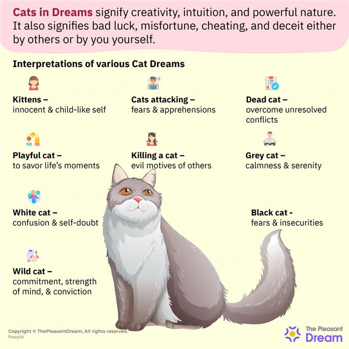 Soñar con gatos - 37 tipos e interpretaciones