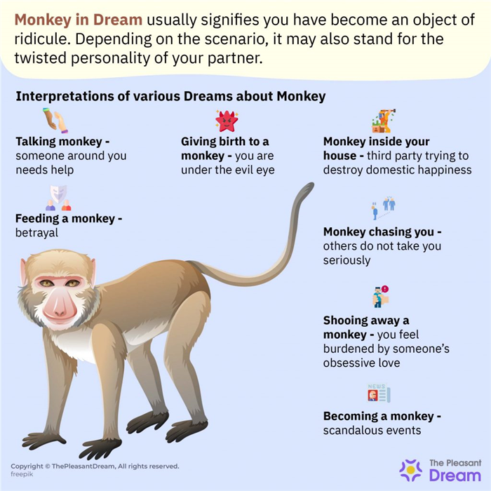 Mono en el sueño - 147 parcelas de sueño y sus significados