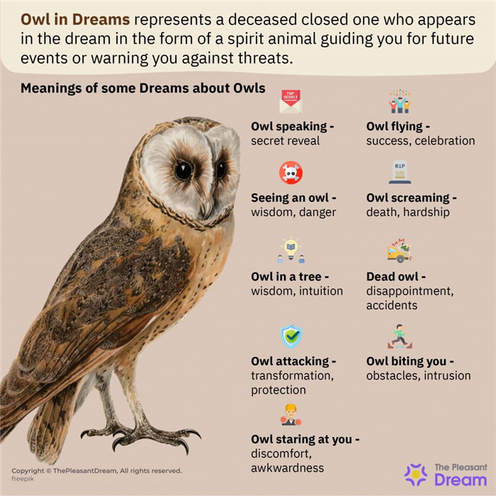 El búho en los sueños - 52 tipos de sueños explicados