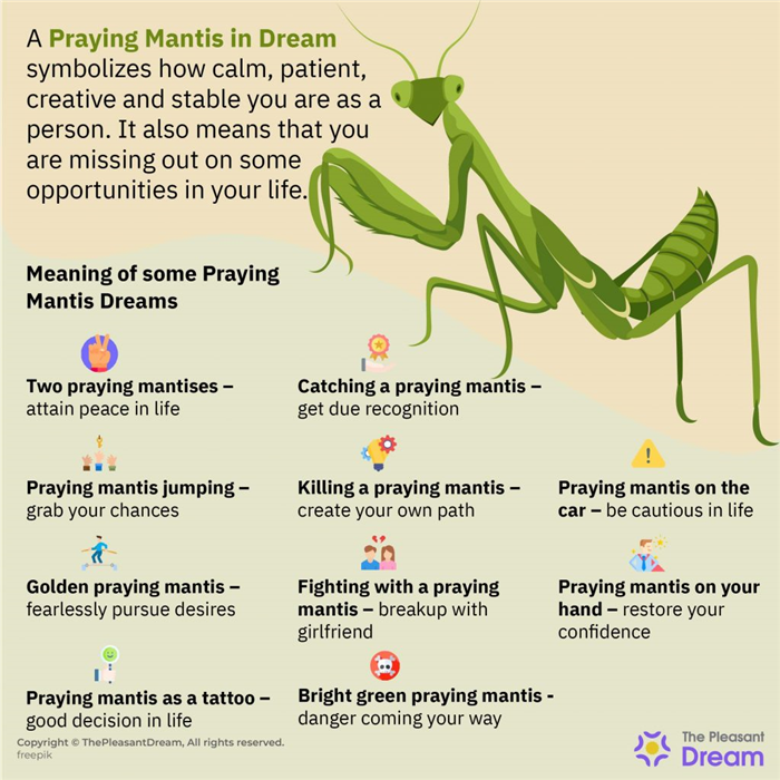 Mantis religiosa en el sueño - 48 escenarios con interpretaciones detalladas