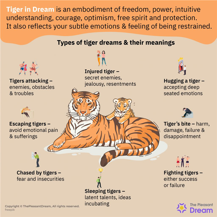 Significado de los sueños con el tigre: 40 tipos y sus interpretaciones