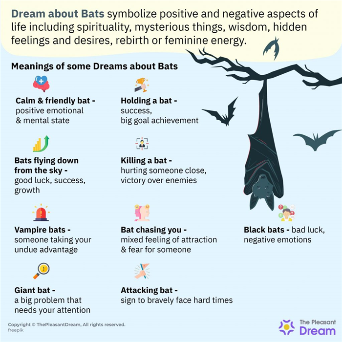 Soñar con murciélagos - más de 50 tipos y sus significados